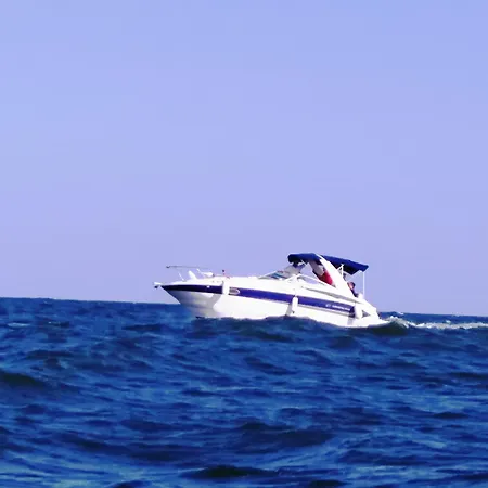 Fantasio * Constanta