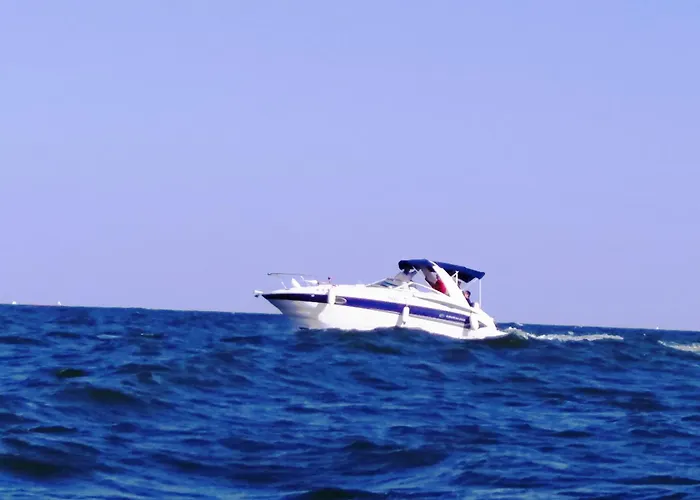 Fantasio * Constanta