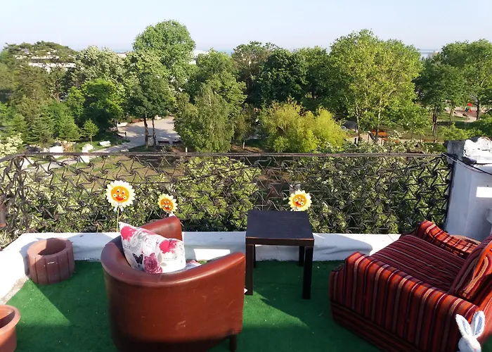 Fantasio * Constanta